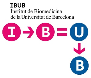 logo IBUB